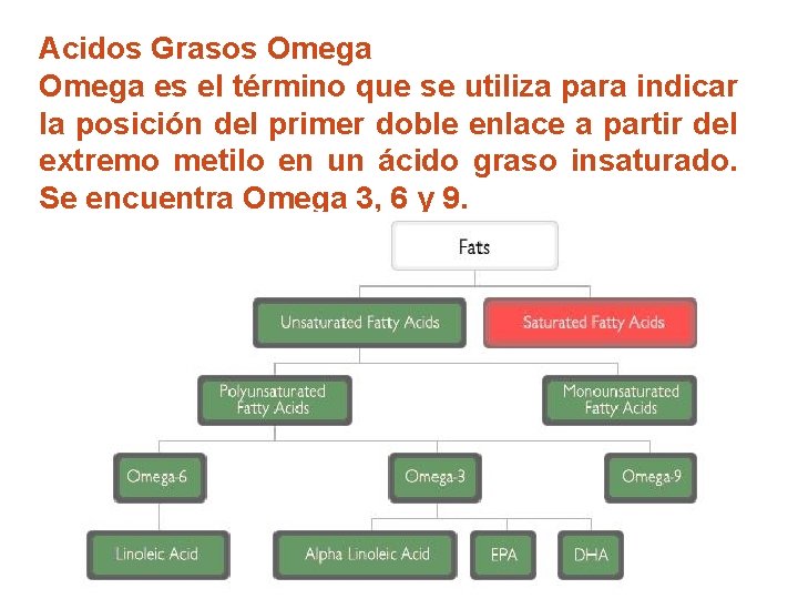 Acidos Grasos Omega es el término que se utiliza para indicar la posición del