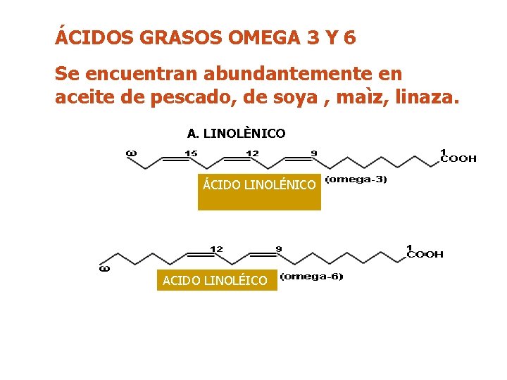 ÁCIDOS GRASOS OMEGA 3 Y 6 Se encuentran abundantemente en aceite de pescado, de