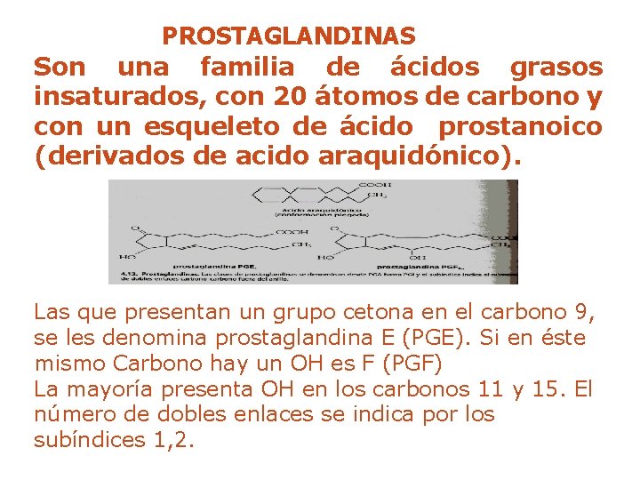 PROSTAGLANDINAS Son una familia de ácidos grasos insaturados, con 20 átomos de carbono y