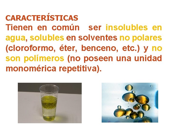 CARACTERÍSTICAS Tienen en común ser insolubles en agua, solubles en solventes no polares (cloroformo,