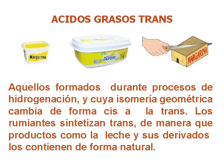 ACIDOS GRASOS TRANS Aquellos formados durante procesos de hidrogenación, y cuya isomería geométrica cambia