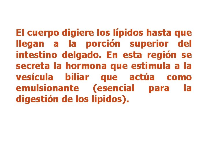 El cuerpo digiere los lípidos hasta que llegan a la porción superior del intestino