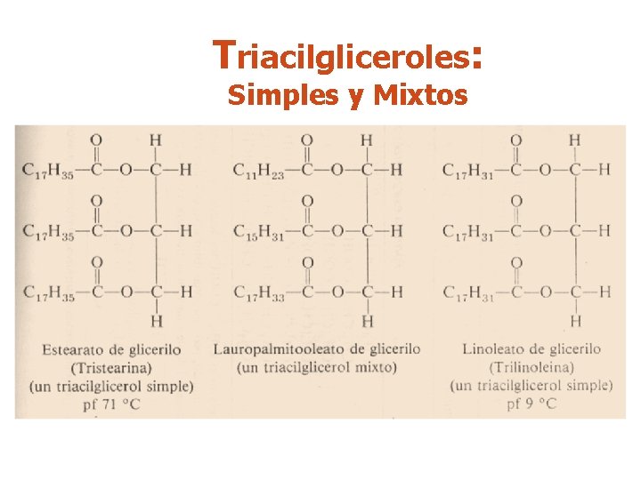 Triacilgliceroles: Simples y Mixtos 