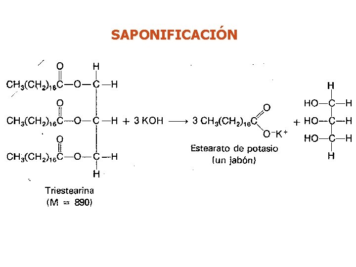 SAPONIFICACIÓN 