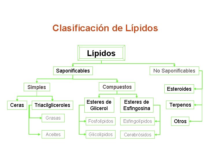 Clasificación de Lípidos Saponificables Simples Ceras Triacilgliceroles Grasas Aceites No Saponificables Compuestos Esteres de