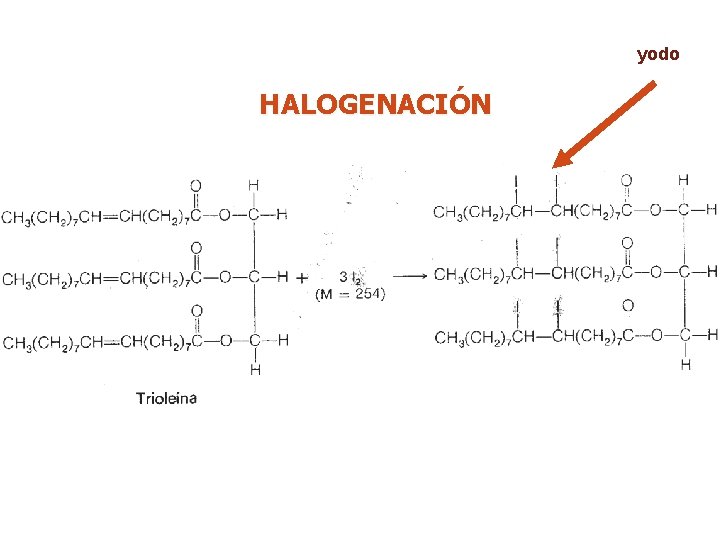 yodo HALOGENACIÓN 