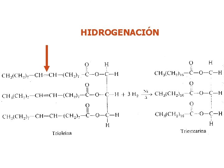 HIDROGENACIÓN 