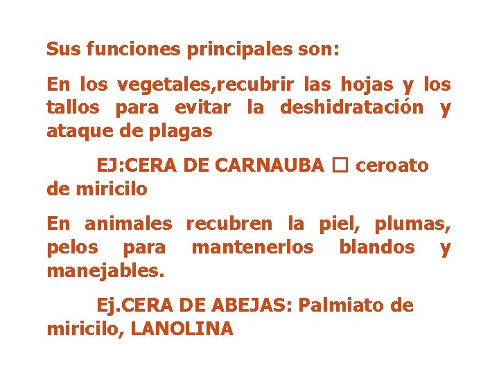 Sus funciones principales son: En los vegetales, recubrir las hojas y los tallos para