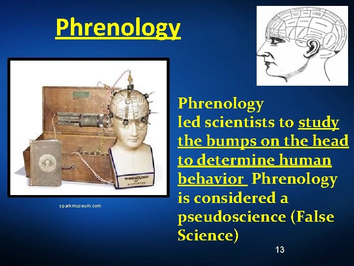 Phrenology sparkmuseum. com Phrenology led scientists to study the bumps on the head to