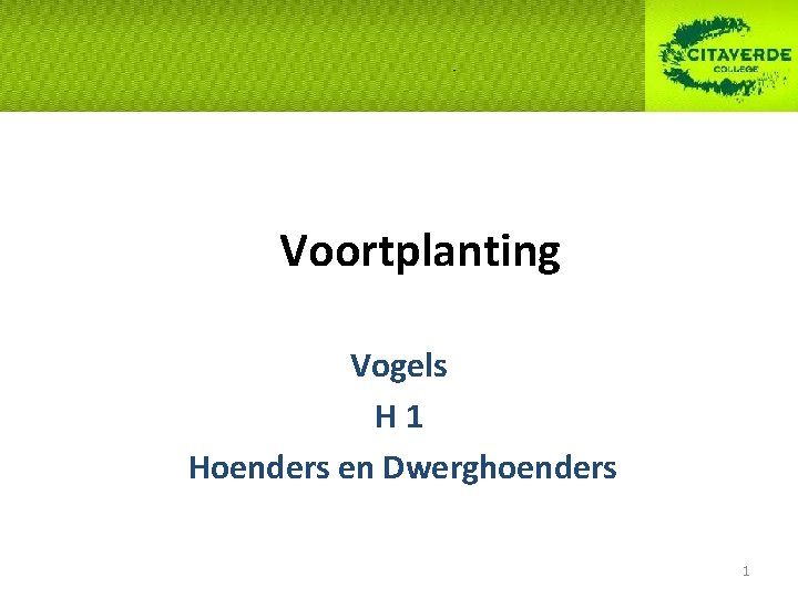 Voortplanting Vogels H 1 Hoenders en Dwerghoenders 1 