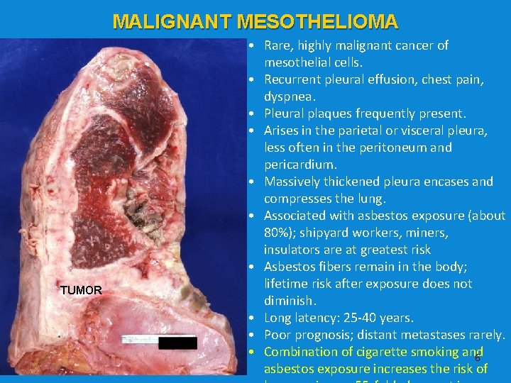 primary peritoneal cancer stage 3c prognosis