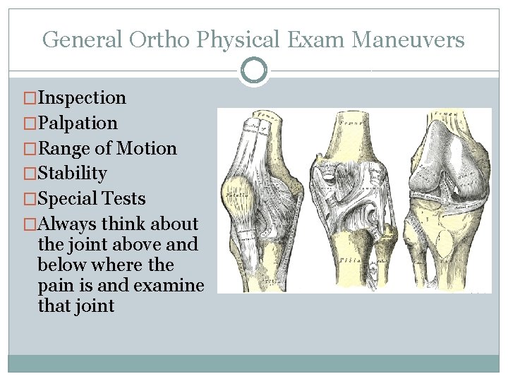 General Ortho Physical Exam Maneuvers �Inspection �Palpation �Range of Motion �Stability �Special Tests �Always General Ortho Physical Exam Maneuvers �Inspection �Palpation �Range of Motion �Stability �Special Tests �Always