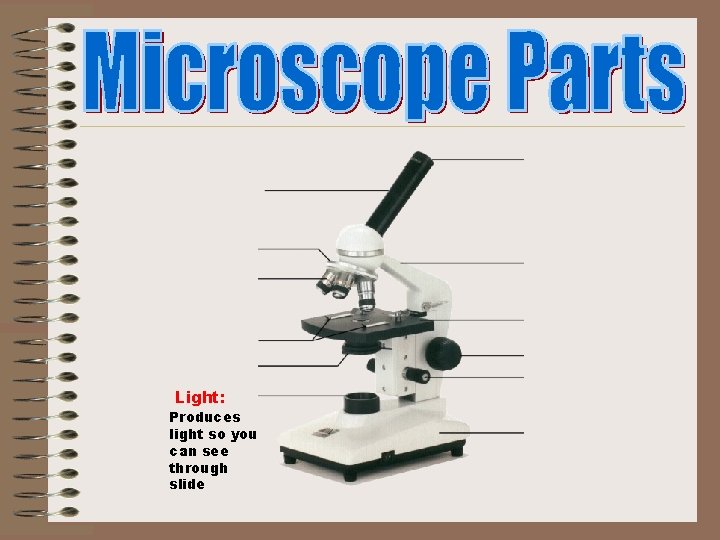 Light: Produces light so you can see through slide 