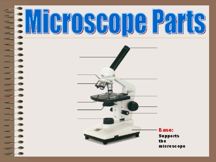 Base: Supports the microscope 