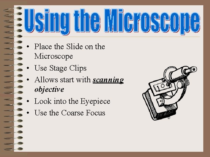  • Place the Slide on the Microscope • Use Stage Clips • Allows