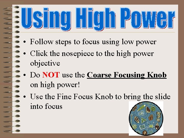  • Follow steps to focus using low power • Click the nosepiece to