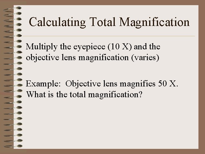 Calculating Total Magnification Multiply the eyepiece (10 X) and the objective lens magnification (varies)