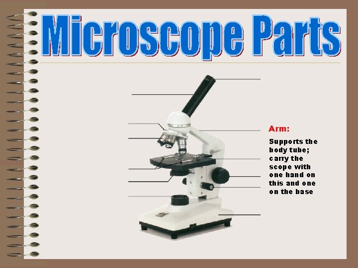 Arm: Supports the body tube; carry the scope with one hand on this and