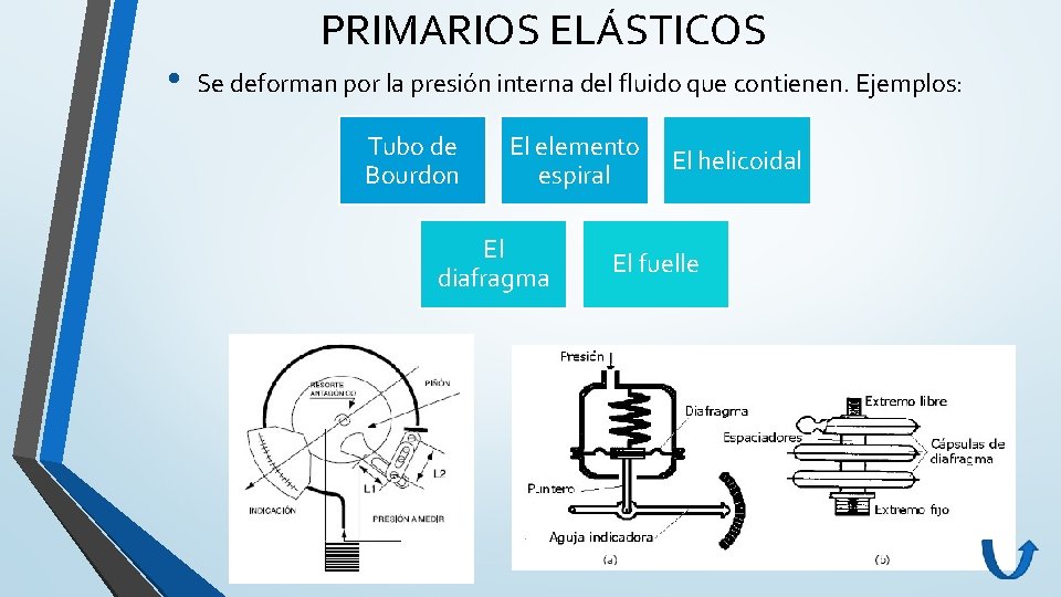 PRIMARIOS ELÁSTICOS • Se deforman por la presión interna del fluido que contienen. Ejemplos: