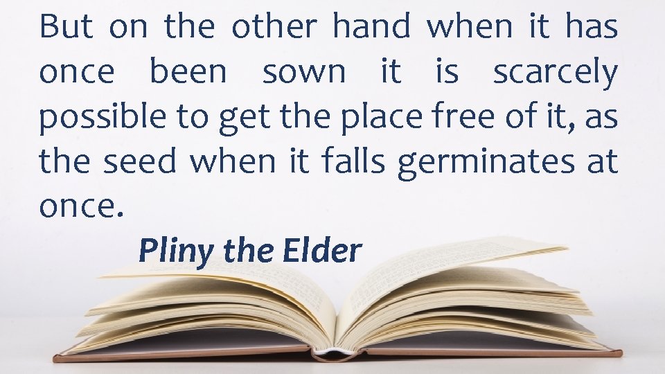 But on the other hand when it has once been sown it is scarcely