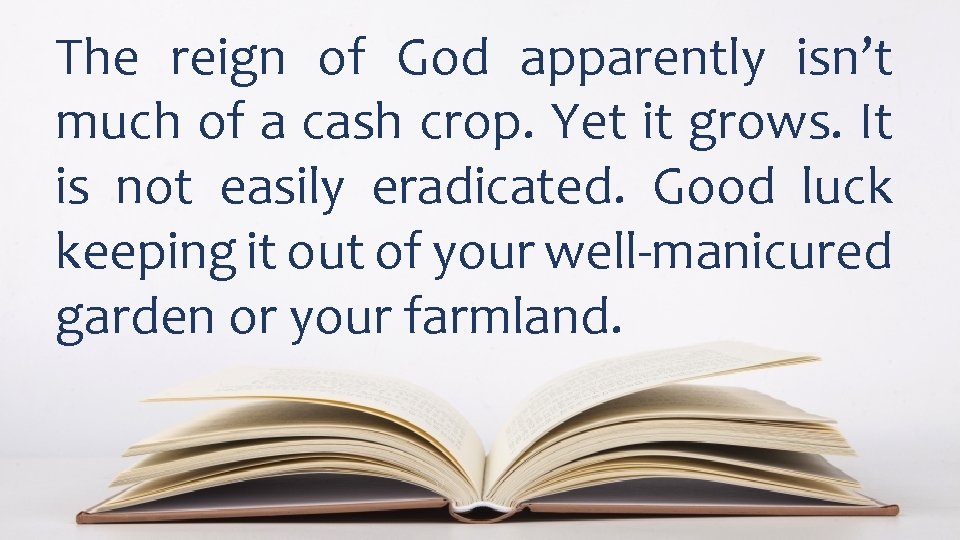 The reign of God apparently isn’t much of a cash crop. Yet it grows.