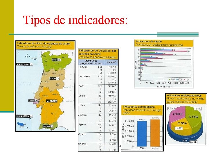 Tipos de indicadores: Prof. Teresa Condeixa Monteiro – 2008/2009 