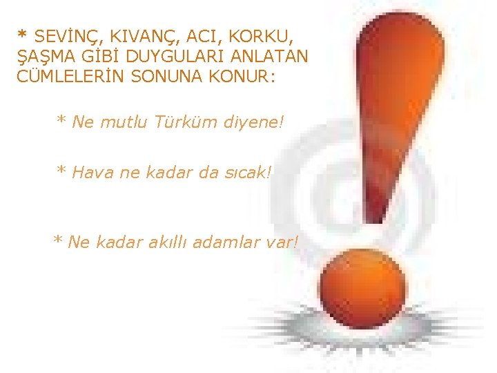 * SEVİNÇ, KIVANÇ, ACI, KORKU, ŞAŞMA GİBİ DUYGULARI ANLATAN CÜMLELERİN SONUNA KONUR: * Ne