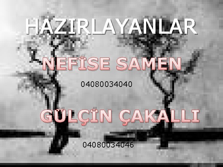 HAZIRLAYANLAR NEFİSE SAMEN 04080034040 GÜLÇİN ÇAKALLI 04080034046 