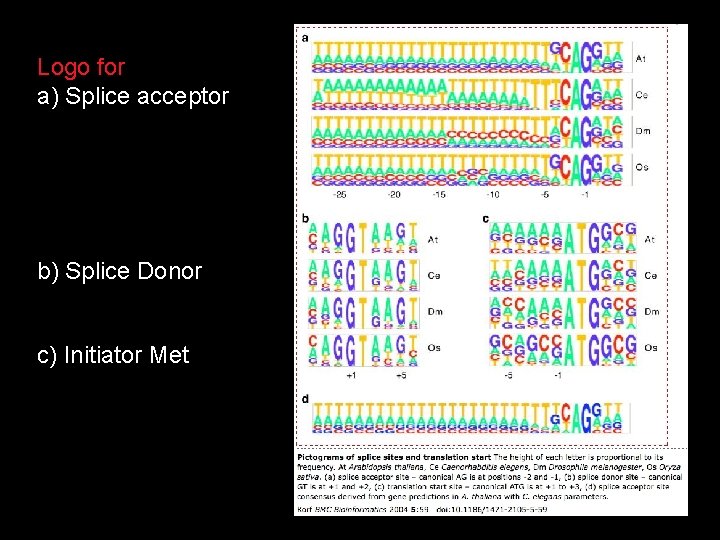 Logo for a) Splice acceptor b) Splice Donor c) Initiator Met 