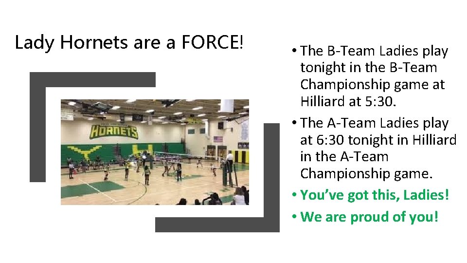Lady Hornets are a FORCE! • The B-Team Ladies play tonight in the B-Team