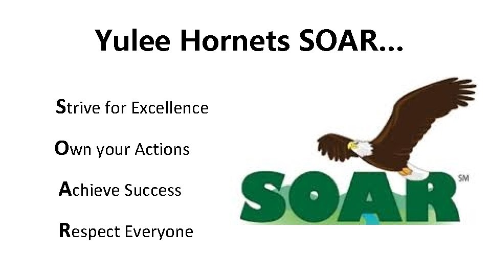 Yulee Hornets SOAR… Strive for Excellence Own your Actions Achieve Success Respect Everyone 