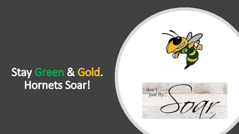 Stay Green & Gold. Hornets Soar! 