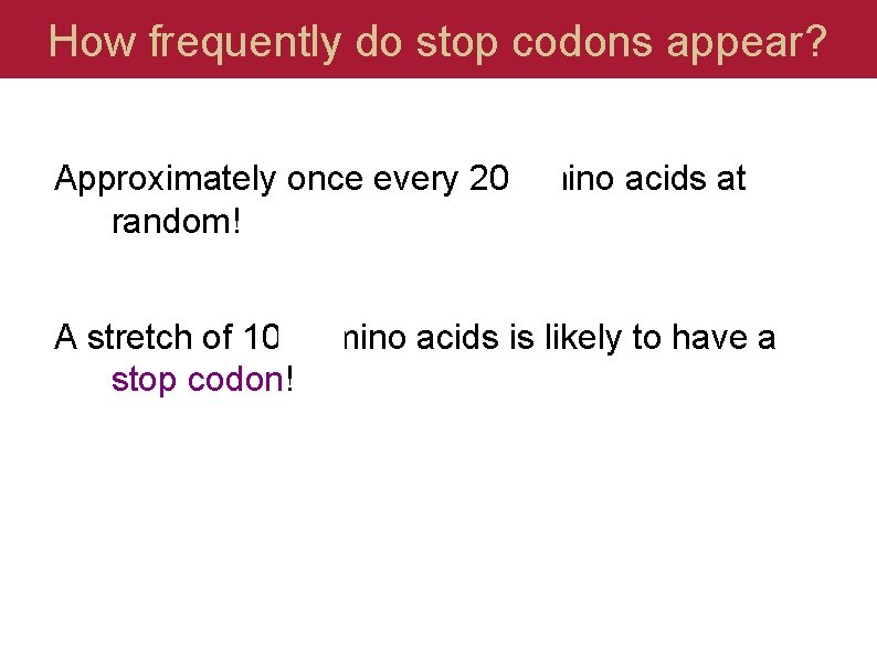 How frequently do stop codons appear? Approximately once every 20 amino acids at random!