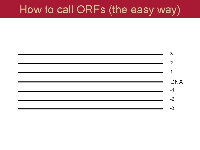 How to call ORFs (the easy way) 3 2 1 DNA -1 -2 -3