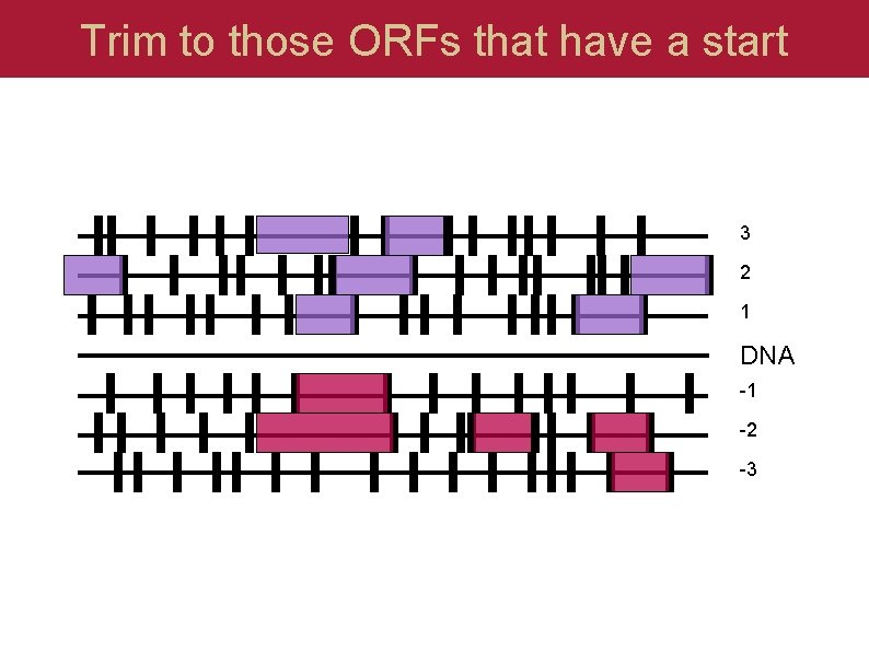 Trim to those ORFs that have a start 3 2 1 DNA -1 -2