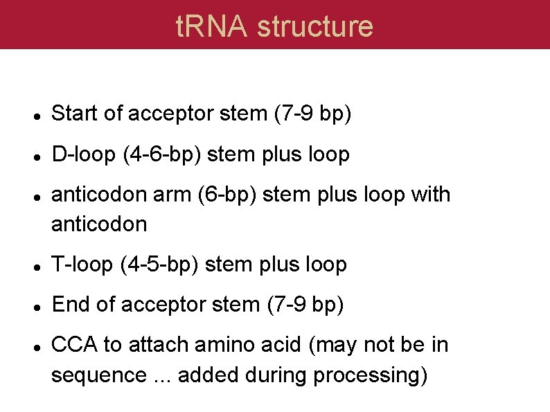 t. RNA structure Start of acceptor stem (7 -9 bp) D-loop (4 -6 -bp)
