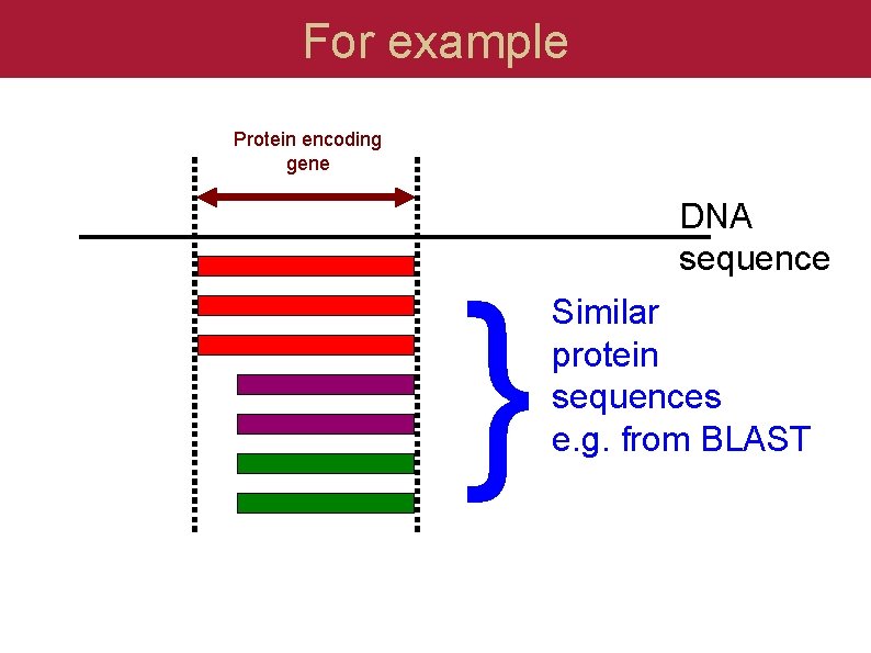 For example Protein encoding gene } DNA sequence Similar protein sequences e. g. from
