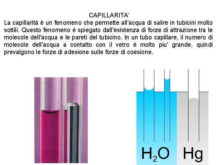 CAPILLARITA’ La capillarità è un fenomeno che permette all'acqua di salire in tubicini molto CAPILLARITA’ La capillarità è un fenomeno che permette all'acqua di salire in tubicini molto