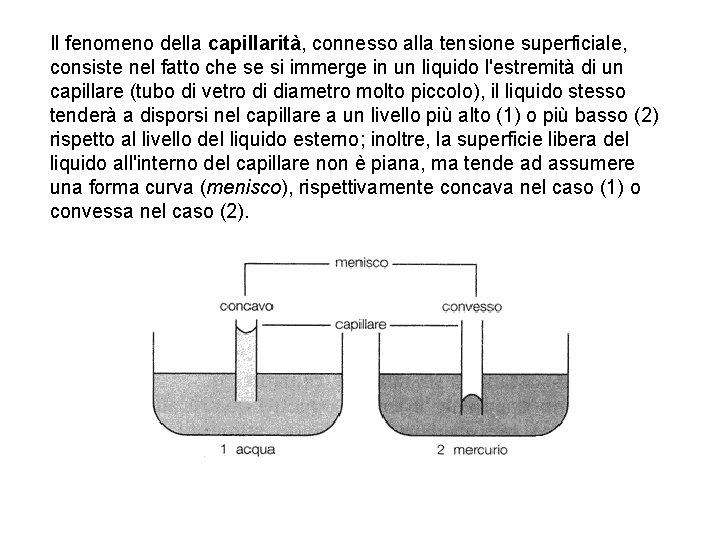 Il fenomeno della capillarità, connesso alla tensione superficiale, consiste nel fatto che se si Il fenomeno della capillarità, connesso alla tensione superficiale, consiste nel fatto che se si