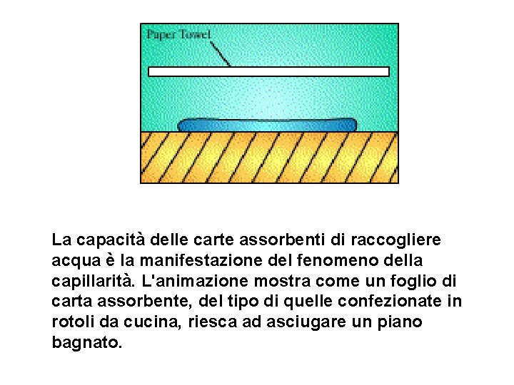 La capacità delle carte assorbenti di raccogliere acqua è la manifestazione del fenomeno della La capacità delle carte assorbenti di raccogliere acqua è la manifestazione del fenomeno della