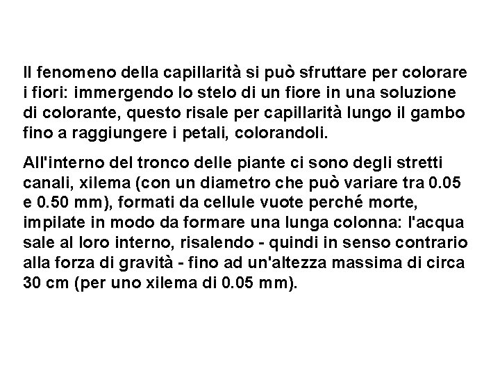 Il fenomeno della capillarità si può sfruttare per colorare i fiori: immergendo lo stelo Il fenomeno della capillarità si può sfruttare per colorare i fiori: immergendo lo stelo