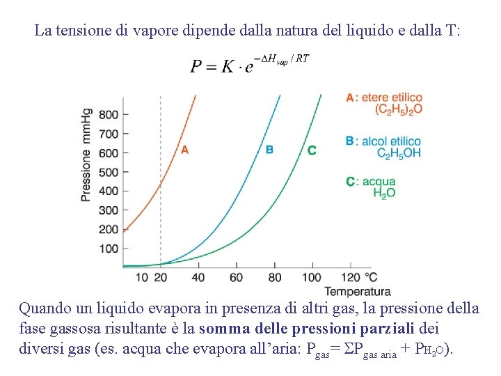 La tensione di vapore dipende dalla natura del liquido e dalla T: Quando un La tensione di vapore dipende dalla natura del liquido e dalla T: Quando un