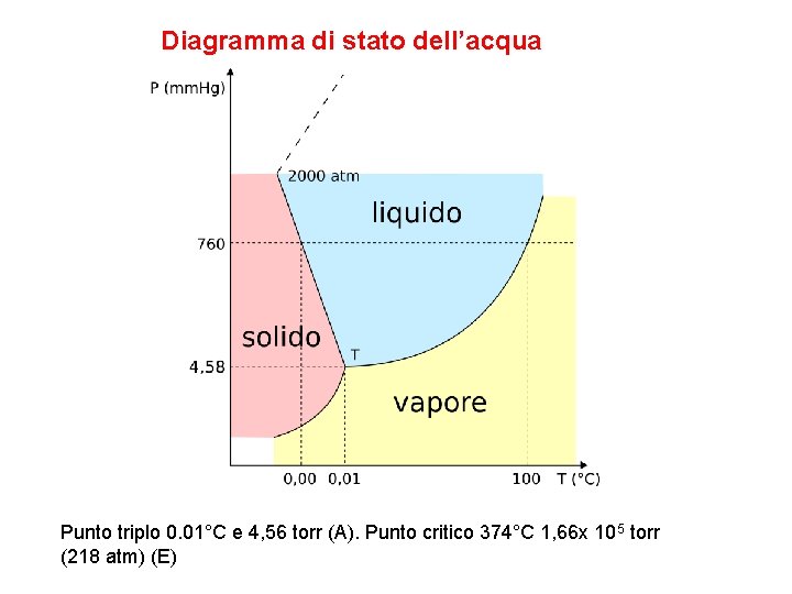 Diagramma di stato dell’acqua Diagramma delle faell’acqua Punto triplo 0. 01°C e 4, 56 Diagramma di stato dell’acqua Diagramma delle faell’acqua Punto triplo 0. 01°C e 4, 56
