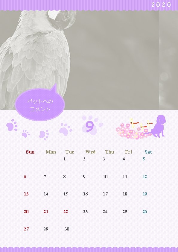 2020 ペットへの コメント 9 Sun Mon Tue Wed Thu Fri Sat 1 2 3