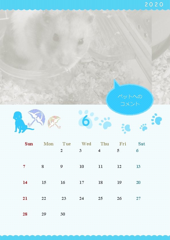 2020 ペットへの コメント 6 Sun Mon Tue Wed Thu Fri Sat 2 3 4