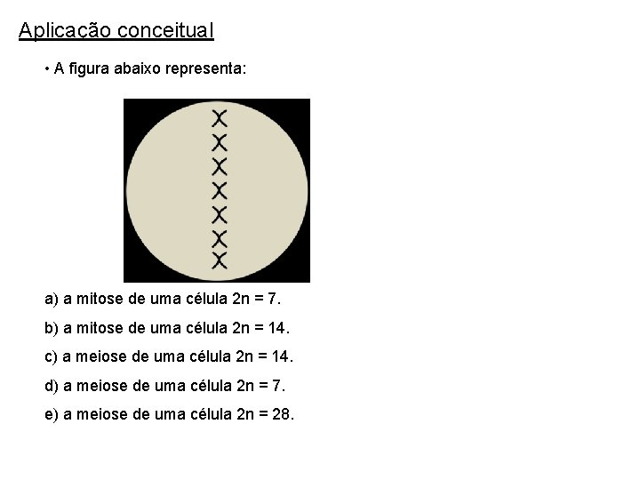 Aplicação conceitual • A figura abaixo representa: a) a mitose de uma célula 2