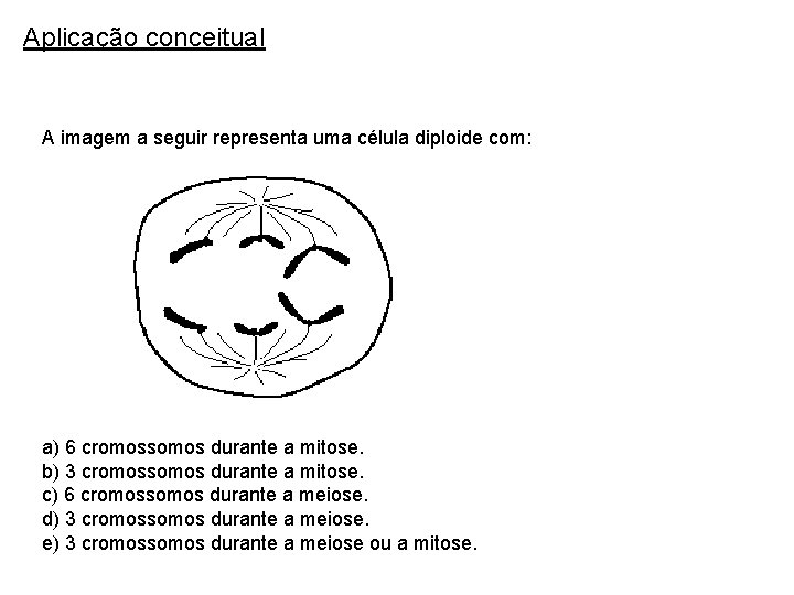 Aplicação conceitual A imagem a seguir representa uma célula diploide com: a) 6 cromossomos