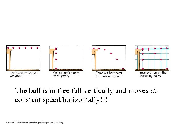The ball is in free fall vertically and moves at constant speed horizontally!!! 