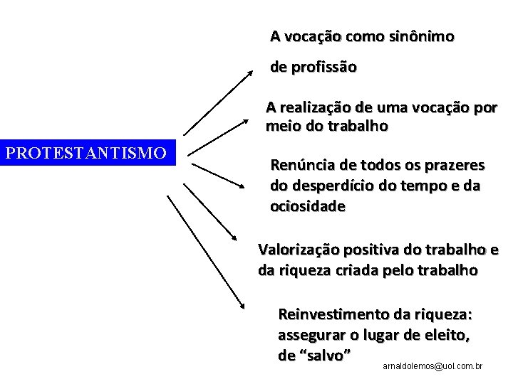 A vocação como sinônimo de profissão A realização de uma vocação por meio do