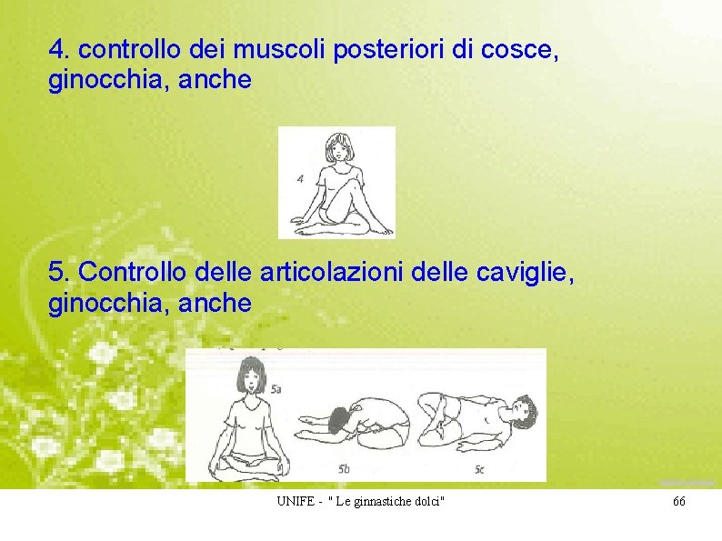 4. controllo dei muscoli posteriori di cosce, ginocchia, anche 5. Controllo delle articolazioni delle